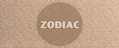 ZODIAC термопанель AE7-004 Японская штукатурка 3318 - фото 9009